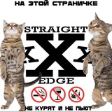 Telegram profile photo for песни лил пипа | lil peep