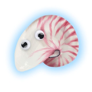 Telegram profile photo for дом розовой ракушки