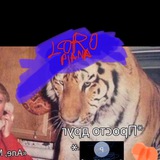 Telegram profile photo for ЧАХАToday 🐅 вечерняя чаха
