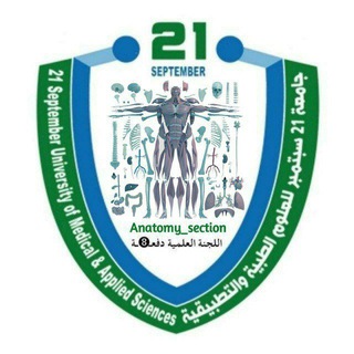 Telegram profile photo for قسم ال Anatomy دفعـ➑ـة|USF|