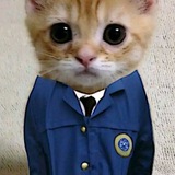 Telegram profile photo for bayar sini woik