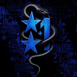 Telegram profile photo for 🐍💙🖤INTER MILAN💙🖤🐍 | 💙🖤INTERFANS💙🖤