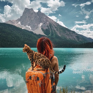 Telegram profile photo for Путешественник 🦋
