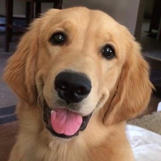 Telegram profile photo for банановое царство