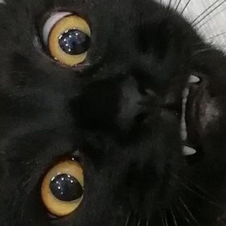 Telegram profile photo for Пиздим мемы с двача