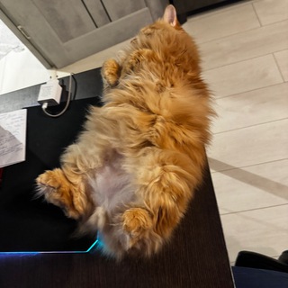 Telegram group profile photo for МИУ Starwear wb Chat