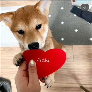 Telegram profile photo for ACHI