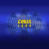 Telegram profile photo for Сокіл Київ