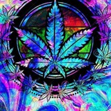 Telegram profile photo for Shashan Angels
