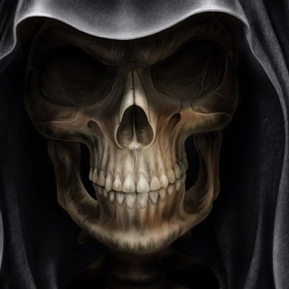 Telegram profile photo for Crypto Reeper Calls