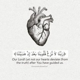 Telegram profile photo for تَحْفِيظُ الْقُرْآنِ الْكَرِيمِ 🤍