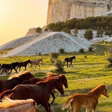 Telegram profile photo for Пространство мыслей