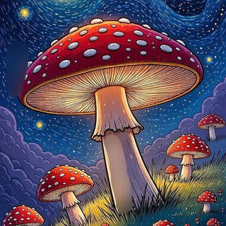 Telegram profile photo for 🍄Дары Алтая🍄