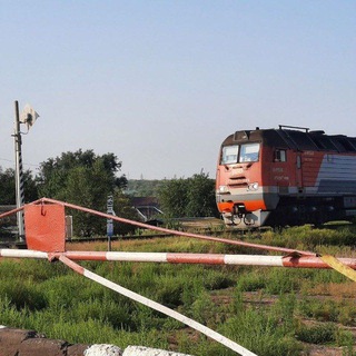 Telegram profile photo for Грачёвский транзит