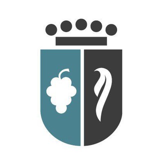 Telegram profile photo for Ajuntament de Vinaròs