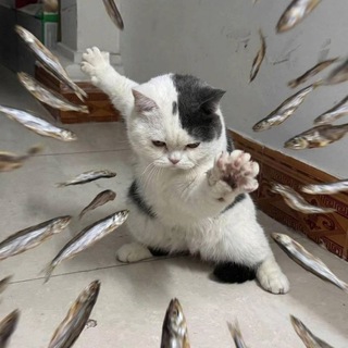 Telegram profile photo for Переслано от Bulchik