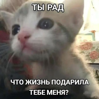 Telegram profile photo for ненси крч