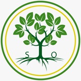 Telegram profile photo for Sandra Ottenbacher Entfaltungscoaching