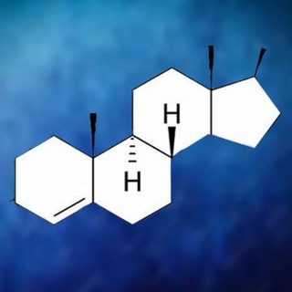 Telegram profile photo for Androgen team