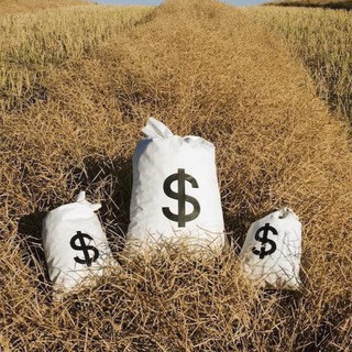 Telegram profile photo for ПОЛЕ ЧУДЕС