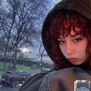 Telegram profile photo for 68 собак