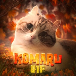 Telegram profile photo for Komaru ~ GIF 🍂