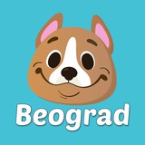Telegram profile photo for Белград аренда квартир | Domiko