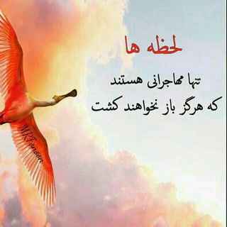 Telegram profile photo for کانال لحظه های ناب عاشقی💖 آموزشی💖