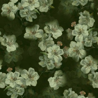 Telegram profile photo for ˚⋆𐙚。misty orchid 𖦹.ᡣ𐭩˚