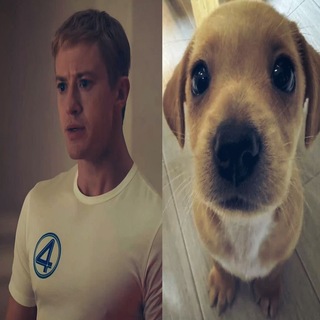 Telegram profile photo for 𝐿𝑦𝑘𝑘𝑒