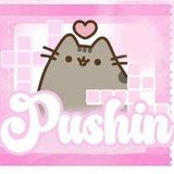 Telegram profile photo for PUSHINS