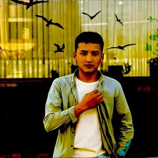 Telegram profile photo for Davlat | Atmosfera