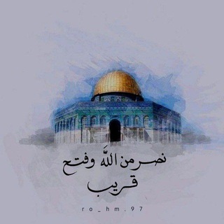 Telegram profile photo for MOOD…🇵🇸🖤