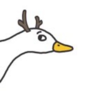 Telegram profile photo for 天天壁纸