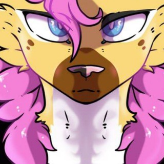 Telegram profile photo for Diario da Amomora