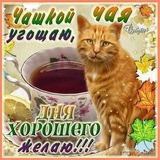 Telegram profile photo for Бля ну не знаю ка к назвать хорошо?