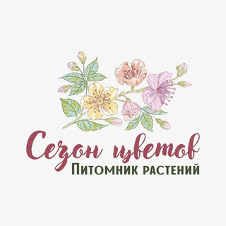 Telegram profile photo for СЕЗОН ЦВЕТОВ🌸🍃