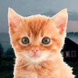 Telegram profile photo for Мэмная