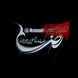 Telegram profile photo for كانال رسمى موكب خدمه امام على ابن موسى الرضاعمود١٠٠١