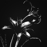 Telegram profile photo for irl реми лебобо