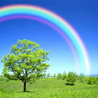 Telegram profile photo for 🌈❤((مجله رنگین کمان ))❤🌈