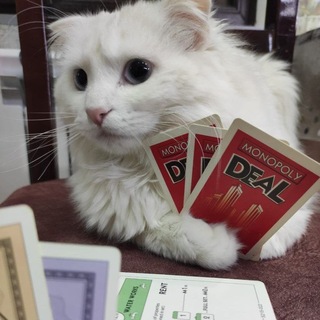 Telegram profile photo for Йод кавабанга🪽