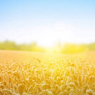 Telegram group profile photo for AGRO/СЕЛЬХОЗПРОДУКЦИЯ🌾🌾🌾