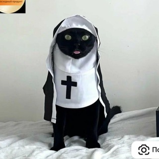Telegram profile photo for Sol. Morphini