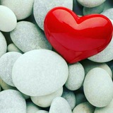 Telegram profile photo for 🍀کانال شاعر رسول ایوبی هنگ و دنگ 🍀