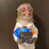Telegram profile photo for BIO | батька