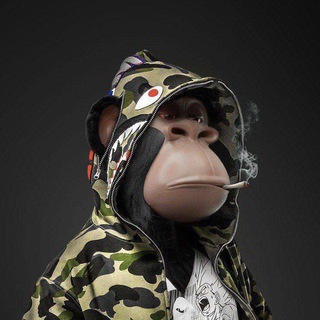 Telegram profile photo for полоса