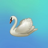 Telegram profile photo for Serendipity Challenges
