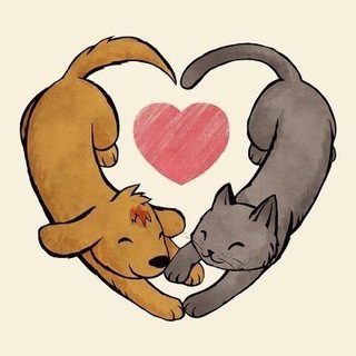 Telegram profile photo for _kotofei_labinsk
