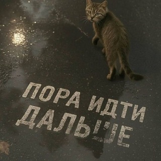 Telegram profile photo for Deleted